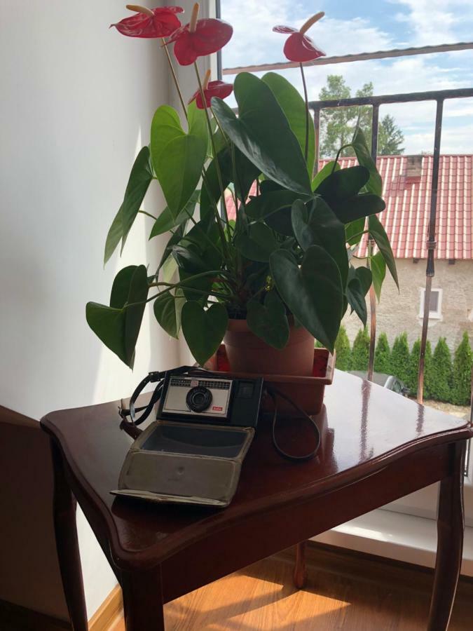 Vila Maria Rapovce Bagian luar foto